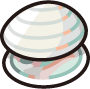 shoal-shell